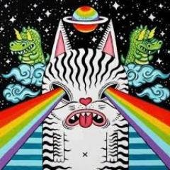 Crypto Fanatic, Developer, Furry White Cat && Cow Cat Lover

$QNT $ICE $WEN $ICE $NAKA