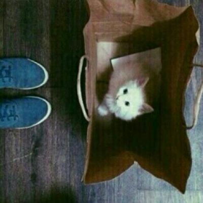 ‏وكُن لنفسك وكن عوناً لها، واترك هُراء الخلقِ وامضي في سبيلك .