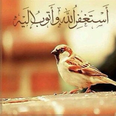 سبحان الله وبحمده سبحان الله العظيم