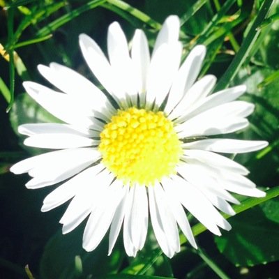 zalfieth0ugh's profile picture. Free follow from @zalfiethough