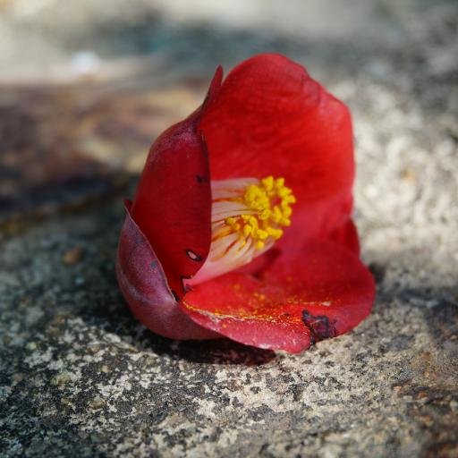 Yoon_19's profile picture. 