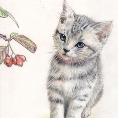 gdgd男 軽度のコミュ障 皆さん宜しくお願いします(・ω・)ノ たまに毒吐きますよ…白猫プロジェクト頑張ってます(｡-_-｡)