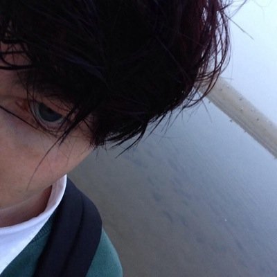 novellistars's profile picture. what