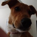 Kara Clouse - @ClouseKara - Twitter