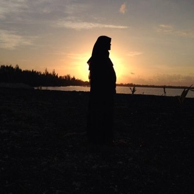A #muslim by birth and choice, Accountant by way of studies, an #artist at heart, frugal house #wife by profession and a #bloggermom to two #toddlers.