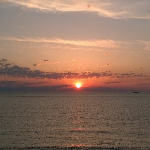 santacruzsays's profile picture. 