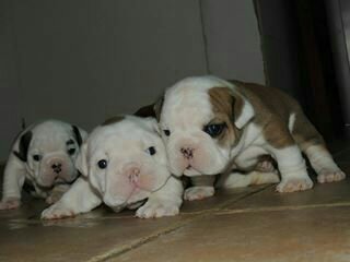 YOTU_FERNANDITA's profile picture. 