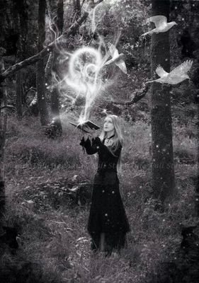 moonlightlilac1's profile picture. 