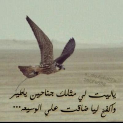 ♡نيتي صافيه وهذأ يكفيني♡