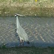 eschade3's profile picture. 