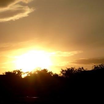 goldenfutureme's profile picture. A college life and admissions blog.