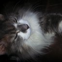 mike conti - @astormichael1 - Twitter