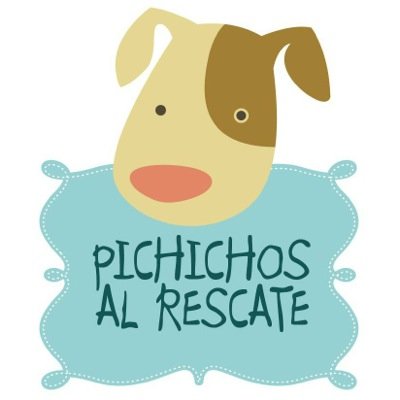 Un dia me animé, rescaté un perro y le encontré una familia. Asi nació Pichichos, un espacio para contar historias buena onda de perros en busca de un hogar!