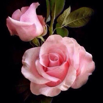 سبحان الله وبحمده
