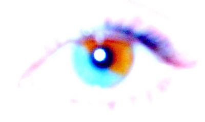 Author of The Ark of Traeadon future-earth saga, 2+books SEEKING AGENT. Begin caretaking NOW. #GraceNotGreed #GreenFutureNow #PeaceDividend