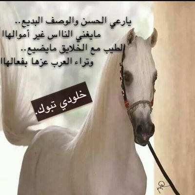 الدمع يجري والعيون حزينتا والقلب يشكو من الفراقي مصيبتي ذهب الزمن بمن احب ولم يزل يقسي علي الحزن وتقسو غربتي