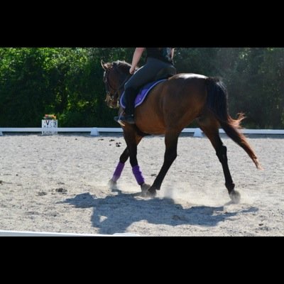 dressage riders do it better. Canada