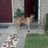 angelman1601's profile image