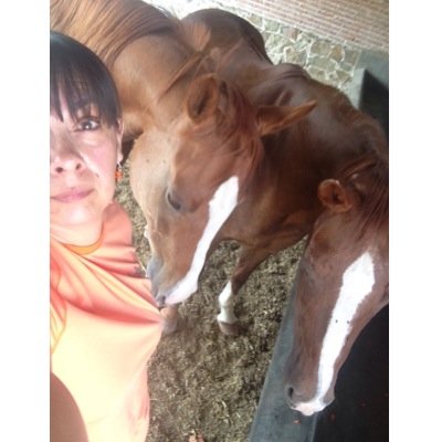 milishv's profile picture. 
