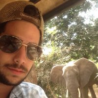 At (@alonsotorre) 's Twitter Profile