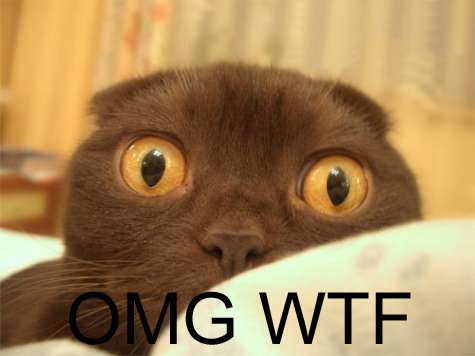 #OMG . #OMGmoments . #OMGgirlthoughts . #OMGguythoughts . #OMGeverything .