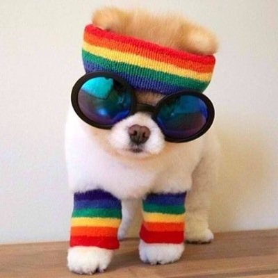 bebutch's profile picture. Tweets are my own. Sad for the next generation.