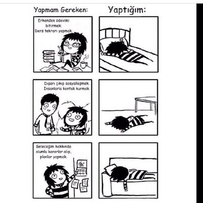 ruyagezgini's profile picture. 