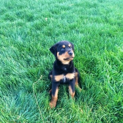 Trujillo_60's profile picture. 