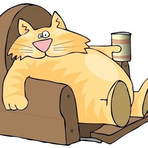 72nomer's profile picture. Просто хороший и добрый человек...