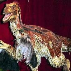 AlfdKnkl1's profile picture. fference between ordinary and extraordinary is that little extra.