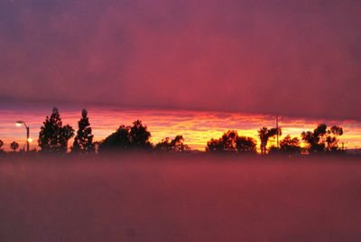 tstano1979's profile picture. 