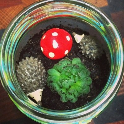 Tiny tee-rrariums for the space conscious individual. Home grown and made in Melbourne. Coming soon!
Until then drinking coffee and eating sweet treats!