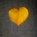 Susie Carrillo - @axucenacarrillo - Twitter