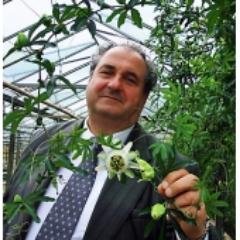 exportimport3's profile picture. 