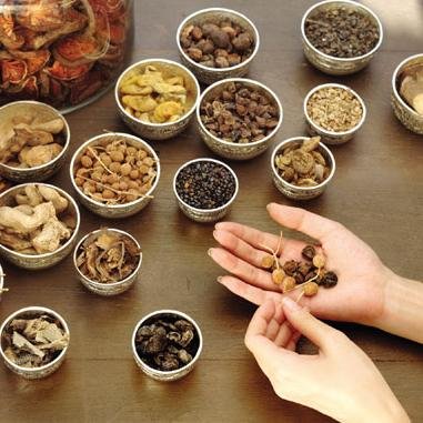 VeerhealthCareL's profile picture. Nature-Al Direction to Remedies