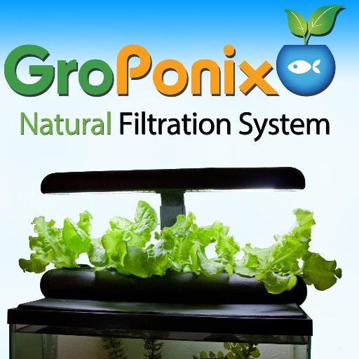 GroPonix's profile picture. GroPonix is a natural filtration kit for aquariums that uses the power of plants to clean your aquarium so you don't have to!