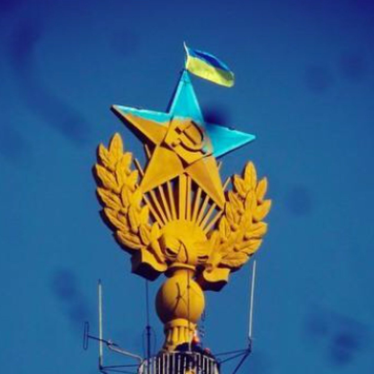 Svetl_ana1's profile picture. 