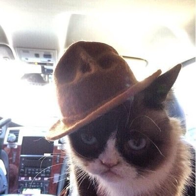 KenJennerCG's profile picture. 