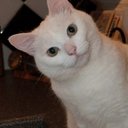 Karina Murray - @klm_71 - Twitter