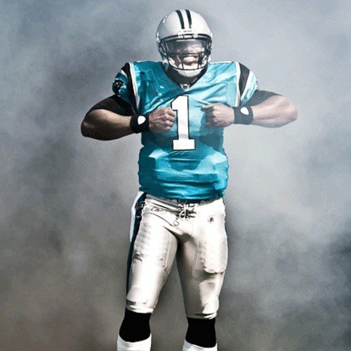 2011 NFL Rookie of the year| PARODY ACCOUNT!!| Giving you guys great Cam Newton & sports tweets. NBA, NFL, MLB, NHL, FIFA, FIBA etc.