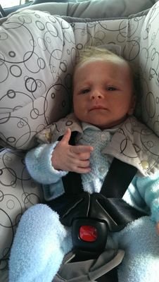 areyouabus's profile picture. 