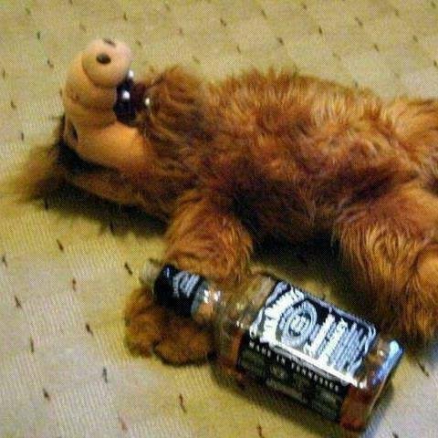 untalmarcos's profile picture. Nació. Eso.