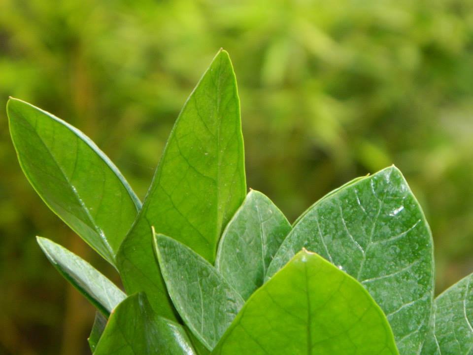 Sebuah akun yang dibuat atas dasar kebutuhan dan sedikit desakan | Aku Mahasiswa Oenyu Biologi, Ayyee | INDONESIAN  BIOLOGIST | Biologi 2013 FMIPA UNS