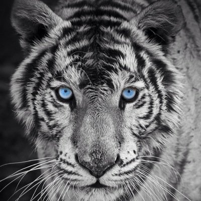 JustPressPlayy's profile picture. Let's get back to just playing games and having fun.