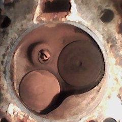 maobandor1's profile picture. 