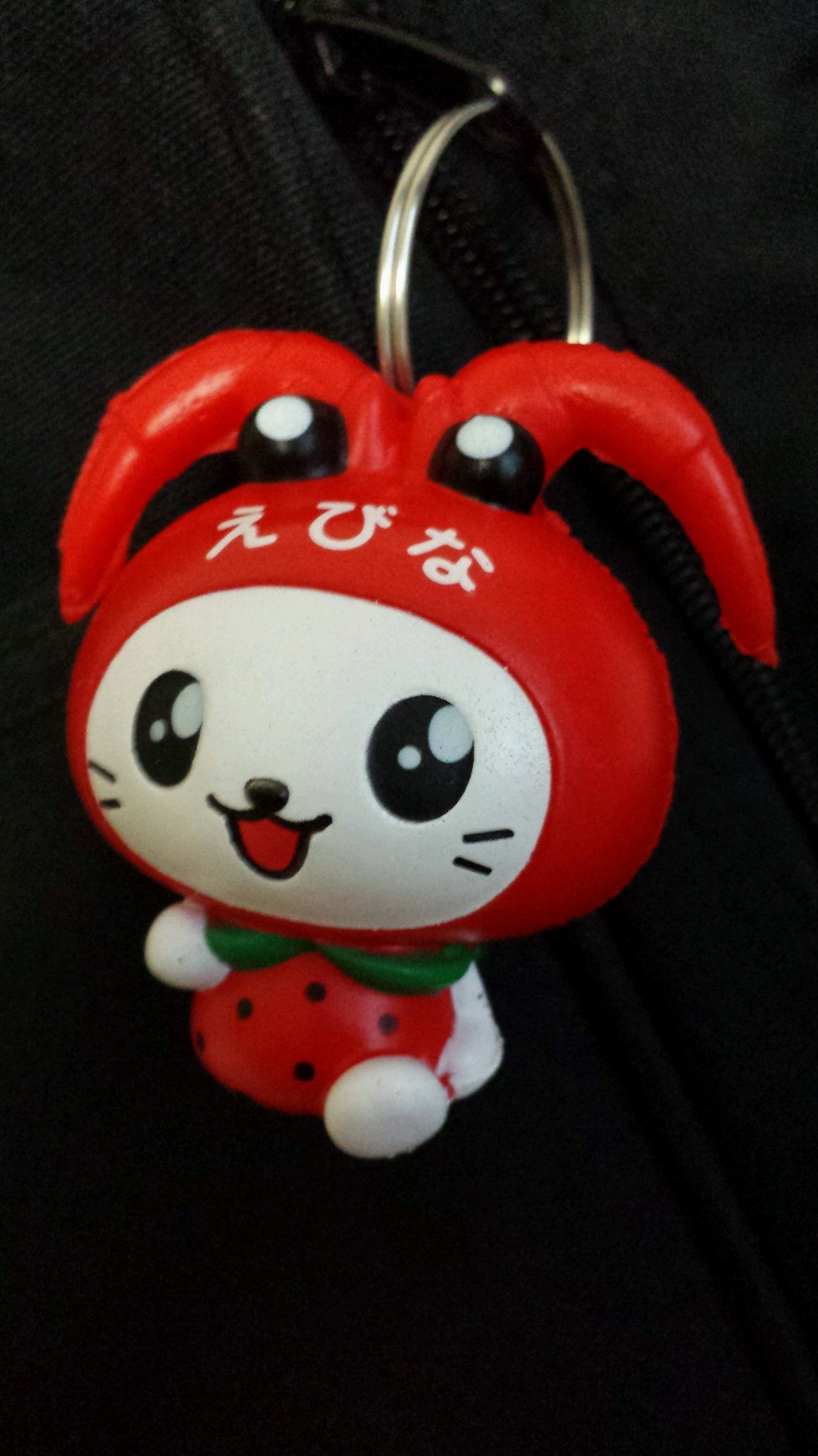 spinylob_bass's profile picture. ベース/日獣フォーク2009～2013年