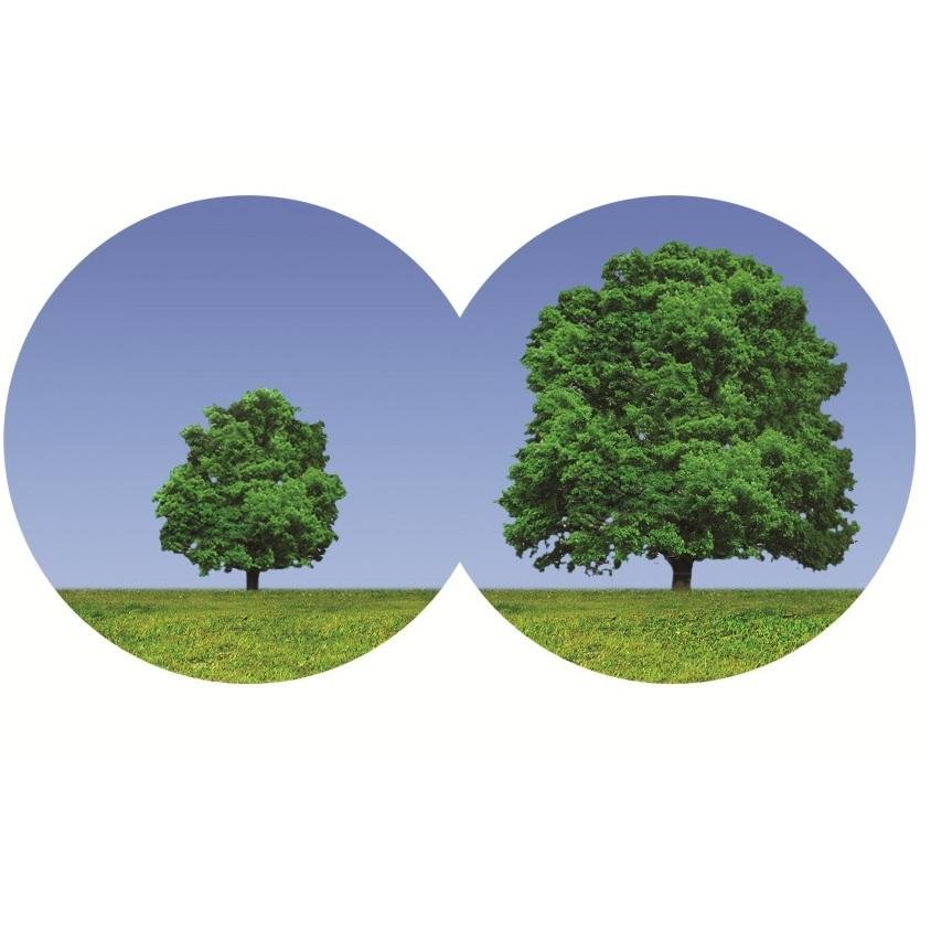 2020learning's profile picture. Delivering high-impact, results-driven #education programmes at your school or business to raise #attainment and enhance #learning.