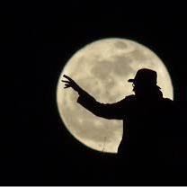 Andrei_Toma007's profile picture. I love my dog!