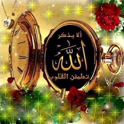 Jareer_Pathan's profile picture. Across the gateway of my heart I wrote, No thoroughfare.
But love came laughing by and cried, I enter everywhere.