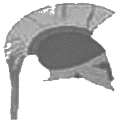 AchilleMedia's profile picture. Agence web référencement